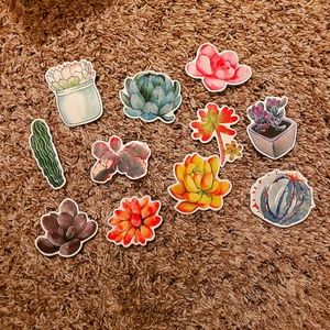Succulent sticker pack (10+1 stickers!)